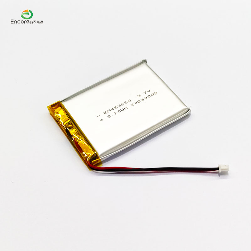 1000 mAh 3,7 V Batterie